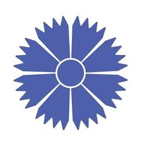 Belavia Belarusian Airlines